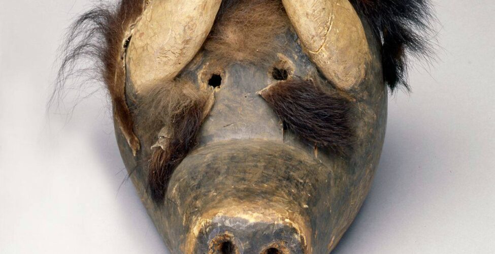 Sculpture depicting a straight-on view of a dark brown, painted wooden face of a buffalo with a long snout. Carving marks are visible over the entire head, especially on the snout, nose, and eyes. Prominent round nostrils in the rectangular nose end the broad snout. A row of six teeth are visible below the nose. Two small round eye holes, spaced close together, sit between two thick, pale tan horns tipped in black. These sit on either side of the eyes pointing inward. Dark, nearly black fur tops the head; the fur is longish and wiry, standing up in places from the head. Lighter brown fur is positioned just above the eye holes. Two patches of buffalo hide are positioned below the eyes just before where the snout begins.