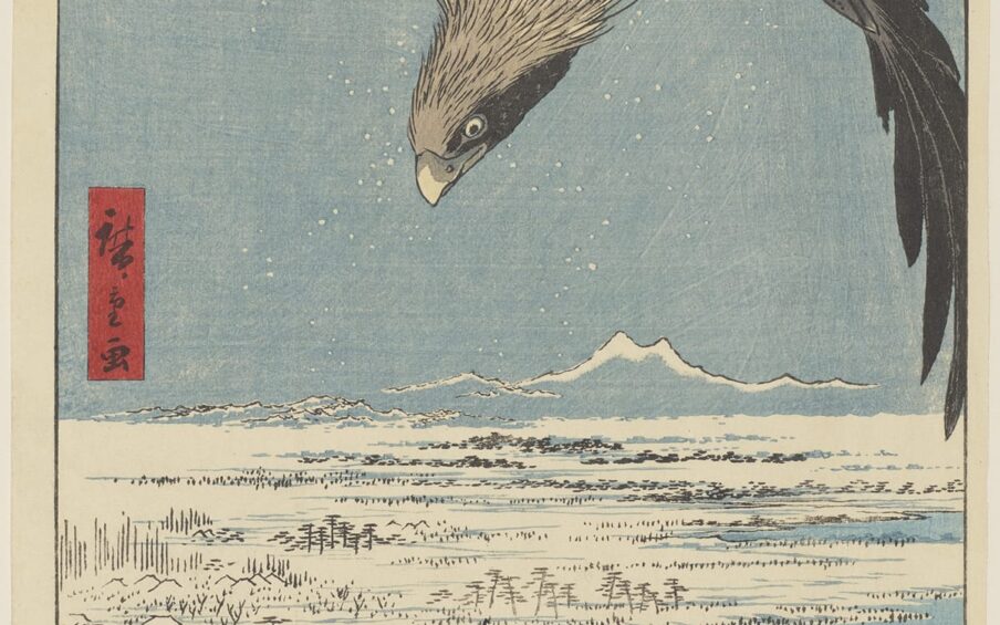 Fukagawa Susaki and Jūmantsubo, No. 107 from the series One Hundred Famous Views of Edo, Utagawa Hiroshige, 13 3/16 in x 8 3/4 inches, color woodblock print on paper. A vertical, rectangular print showing a large bird of prey in flight with its head down and wings spread wide as flies over the land below. The bird fills the upper third of the print and is rendered in black and gray feathers with long plumage on the head. The wing on the right dips down to the lower part of the print and its talons can be seen at upper left under the bird. Below are a mountain range with two peaks and a forested landscape that meets a calm blue sea. Simple tree shapes and small hills are depicted in black on creamy, white ground with pale blue used for shading. The sea is also pale blue that gradually deepens at the bottom of the print. Simple black lines show shallow waves. “Fukagawa Susaki and one hundred thousand tsubo” in Japanese is printed in black ink in a green square cartouche with cloud-pattern ground at upper right. One hundred thousand tsubos is about 33 hectares. To the right of this is a red rectangular cartouche that reads “one hundred views of famous places of Edo” in Japanese and is printed in black ink. The artist’s signature appears at far left center in a red rectangular cartouche and reads “picture (by) Hiroshige.