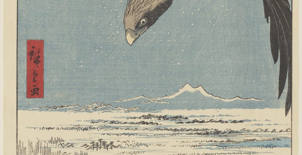 Fukagawa Susaki and Jūmantsubo, No. 107 from the series One Hundred Famous Views of Edo, Utagawa Hiroshige, 13 3/16 in x 8 3/4 inches, color woodblock print on paper. A vertical, rectangular print showing a large bird of prey in flight with its head down and wings spread wide as flies over the land below. The bird fills the upper third of the print and is rendered in black and gray feathers with long plumage on the head. The wing on the right dips down to the lower part of the print and its talons can be seen at upper left under the bird. Below are a mountain range with two peaks and a forested landscape that meets a calm blue sea. Simple tree shapes and small hills are depicted in black on creamy, white ground with pale blue used for shading. The sea is also pale blue that gradually deepens at the bottom of the print. Simple black lines show shallow waves. “Fukagawa Susaki and one hundred thousand tsubo” in Japanese is printed in black ink in a green square cartouche with cloud-pattern ground at upper right. One hundred thousand tsubos is about 33 hectares. To the right of this is a red rectangular cartouche that reads “one hundred views of famous places of Edo” in Japanese and is printed in black ink. The artist’s signature appears at far left center in a red rectangular cartouche and reads “picture (by) Hiroshige.