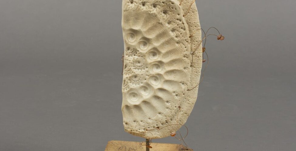 Dancing in the Wind, Lillian Pitt, 14 ¾ x 5 7/8 x 4 7/8 inches, clay, beads, wood, and wire. A photo of a sculpture composed of three main parts: a body, a base, and a finial. The pale-beige clay body is shaped like a vertical rectangle with rounded corners and is highly textured with imprinted patterns. The bottom right corner is rounded off further than the other corners. The imprinted patterns appear to have been made with shells and form concentric semicircles similar to how the bands of a rainbow are arranged. A row each of scallop and nautilus shell imprints form arcs on their sides starting at the top and ending at the bottom. The balance of the body is dotted with the indentations of shell markings overall. Protruding irregularly from the right side of the body are bent copper wires with amber colored beads at the ends. Each wire is bent differently. The body is attached to a thick, chunky wood base by a short, metal rod. The blond wood of the base is traversed with thin dark lines that seem to outline the grain. At top, the finial is connected to the body by clay and is an irregular spherical shape with metal rods radiating out at 9, 12, 2, and 3 o’clock. At 10 o’clock, a copper wire curves into a spiral.