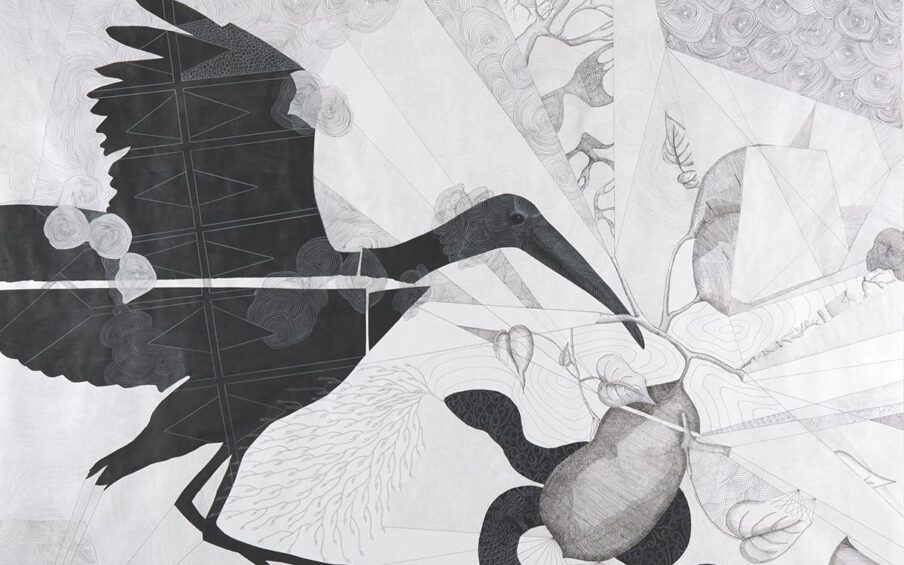 Promise and Purpose, the Ancestor’s Dream, Kirsten Furlong, 60 x 60 inches, collage, ink, graphite and colored pencil on paper. A square black, white and gray work depicting a wood stork with outstretched wings and a long bill, a patterned snake and large sweet potato. The black wood stork, shown from the side and facing right, occupies the left half of the work with its wings and legs extended as if in the act of landing. It has a small smooth head with a long bill and feet and its surface is pattern in geometric and organic shapes. The stork’s form is segmented into four pieces that have been collaged together. To the lower right is a large sweet potato sprouting leaves and other partially obscured sweet potatoes. Underneath the potato is the black snake with curlicue patterned head and scaly body. The background is divided into areas of various patterns rendered in soft gray within sections that radiate from different points on the work.