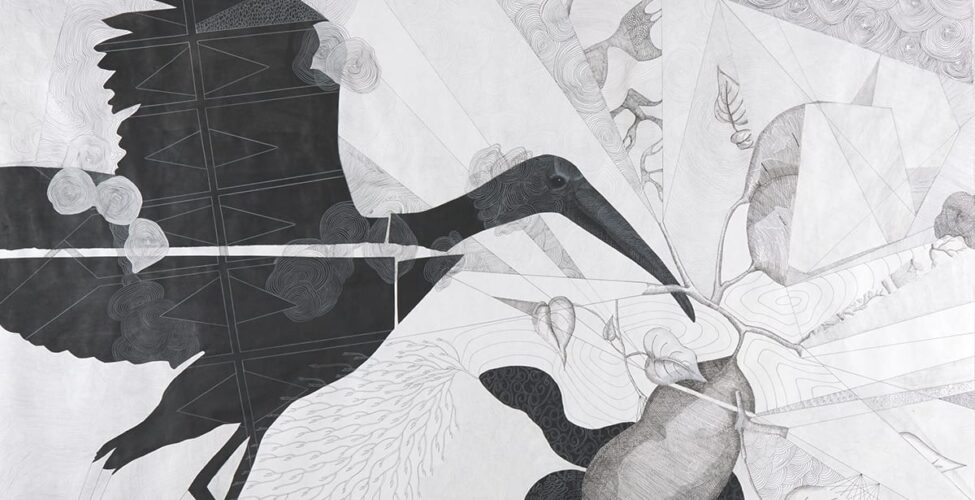 Promise and Purpose, the Ancestor’s Dream, Kirsten Furlong, 60 x 60 inches, collage, ink, graphite and colored pencil on paper. A square black, white and gray work depicting a wood stork with outstretched wings and a long bill, a patterned snake and large sweet potato. The black wood stork, shown from the side and facing right, occupies the left half of the work with its wings and legs extended as if in the act of landing. It has a small smooth head with a long bill and feet and its surface is pattern in geometric and organic shapes. The stork’s form is segmented into four pieces that have been collaged together. To the lower right is a large sweet potato sprouting leaves and other partially obscured sweet potatoes. Underneath the potato is the black snake with curlicue patterned head and scaly body. The background is divided into areas of various patterns rendered in soft gray within sections that radiate from different points on the work.