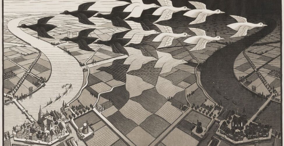 Day & Night. M.C. Escher. 1938. Woodcut in black and gray, printed from two blocks. 15 7/16 in x 26 5/8 in. 1. Aerial view of farm land between two cities and rivers with a flock of birds flying above. The left side of the print is light colored with dark outlines while the right is dark with light outlines. The middle of the print uses an optical illusion where, from one perspective, white birds are flying to the right with a view of dark fields between them and, from another perspective, black birds are flying to the left with a view of light fields between them. The fields below the birds make a checkerboard pattern, but the lines are more organic, forming a variety of shapes. In the bottom left corner is a town with a church in the middle and connected buildings around it in the shape of a trapezoid. Waterways with boats line the edges of the city and a windmill sits across from it. A few farm houses sit at the edges of fields. On the opposite side of the city, a flat narrow draw bridge stretches across the curving river. A line of five ships sail just to the right of the bridge. Across the river a few farmhouses stand in fields and trees line the water passageways between the fields. The right side has the same city, but with dark tones, and is a mirror of the left side. A simple black border surrounds the print.