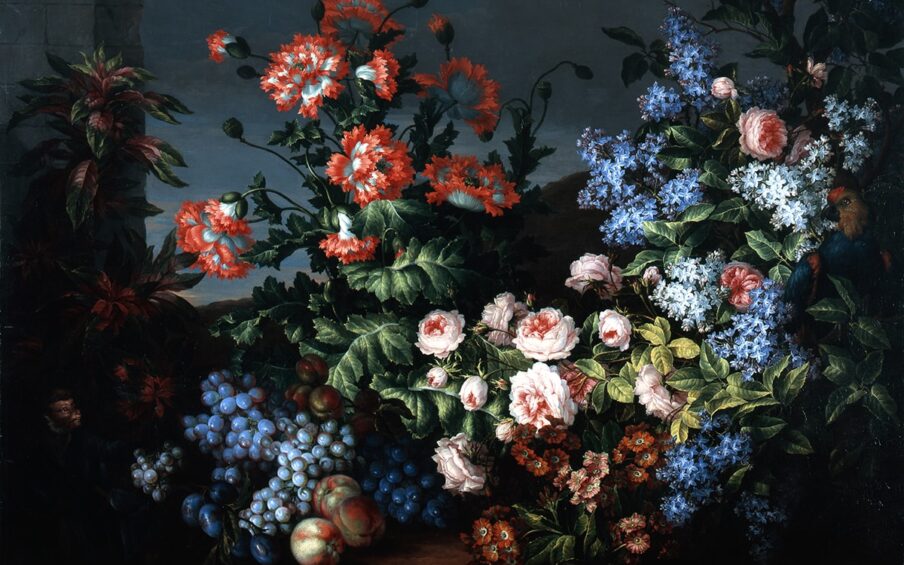 Image Description: Jean-Baptiste Monnoyer, Antoine Monnoyer. “Still Life with Flowers, Fruits, a Parrot and a Monkey.” 1690/1699. Oil on canvas. 43 ⅜ “ and 59 ⅛”. Large painting with a dark background and brightly colored flowers with a thick gold frame with ornate filigree. A dark blue sky filled with a thin layer of flat clouds fills the background. Rolling hills can be seen in the distance with sunlight illuminating low clouds behind them. A dark tree trunk raises up behind a large plant with layers of leaves that are green at the tips and purple at the base. A tiny monkey hides in the darkness at the base of the plant. Only its head is visible. The monkey has black fur, a dark brown face, and small teeth. It looks towards the middle of the painting with its mouth gently open, teeth visible. To the right of the monkey is a large pile of fruit. Two large clusters of grapes are stacked high. Those on top are oval shaped, with a darker blue and purple color. The smaller grapes are round and a lighter blue color with purple accents. The grapes reflect the light source that seems to be illuminating the middle of the painting. Under the grapes are five dark blue oval plums, still on the branch with small dark green leaves. Two sets of three peaches are set below and above the grapes on the right. The peaches are cream and orange and blend into the dark shadows. Above the fruit is a large plant with pinnate leaves each with eight, serrated leaflets. Above the leaves, long thin green stems reach out and curve downward with eleven large blossoms with white centers and feathered red petals. Light reflects off the white portion of the petals creating a striking contrast to the dark shadows covering the leaves in the background. To the right is a large peony plant with sixteen buds and blossoms growing from thin green stems with light green oval leaves with strong veins. The large blossoms have dark pink centers and light pink outer petals and stand out, reflecting the light. Under the peonies is a smaller plant with large dark green leaves that have thin stems growing outward with groups of round flowers with white centers with a shiny black ball in the middle. Three groups to the left and back of the leaves are red and green striped. The groups in the middle and front are light pink with green stripes. Next to them are clumps of four-petaled star-shaped purple flowers. A bunch of these flowers extend upward past the peony leaves. The clumps at the top right are light blue and white. Next to them a dark colored parrot with a blue body, brown head, red forehead, black beak, and golden round eyes camouflage behind dark leaves. Behind the flowers, tree branches with large dark green leaves extend to the edge of the painting.