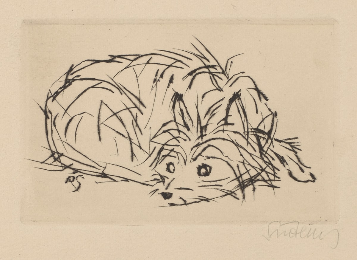 Image description: Dog (New Year’s Greeting Card), 2 13/16 x 4 3/8 inches, drypoint on paper. A print on light tan colored paper depicting a small scruffy coated dog curled up with its head resting on the floor. The dog is illustrated using relatively few black lines, showing a textured, wiry coat. The dog is laying down with its paws tucked under its body and head tucked back towards its hind leg. One paw does peek out from behind the pup’s head at far right. Upright pointed ears mimic a pointed snout accented with whiskers and a tiny nose. The dog’s unruly coat gives it a scruffy, slightly bedraggled appearance. The black lines that compose it have an uneven and ragged edge adding to the dog’s unkempt presentation.