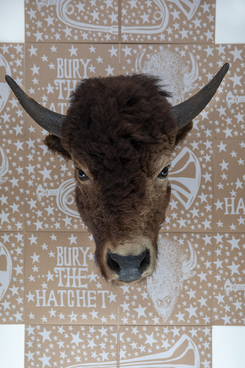 A bison head mounted to a paperboard backdrop with white images of stars, horns, and bison heads, and the words "Bury the hatchet"