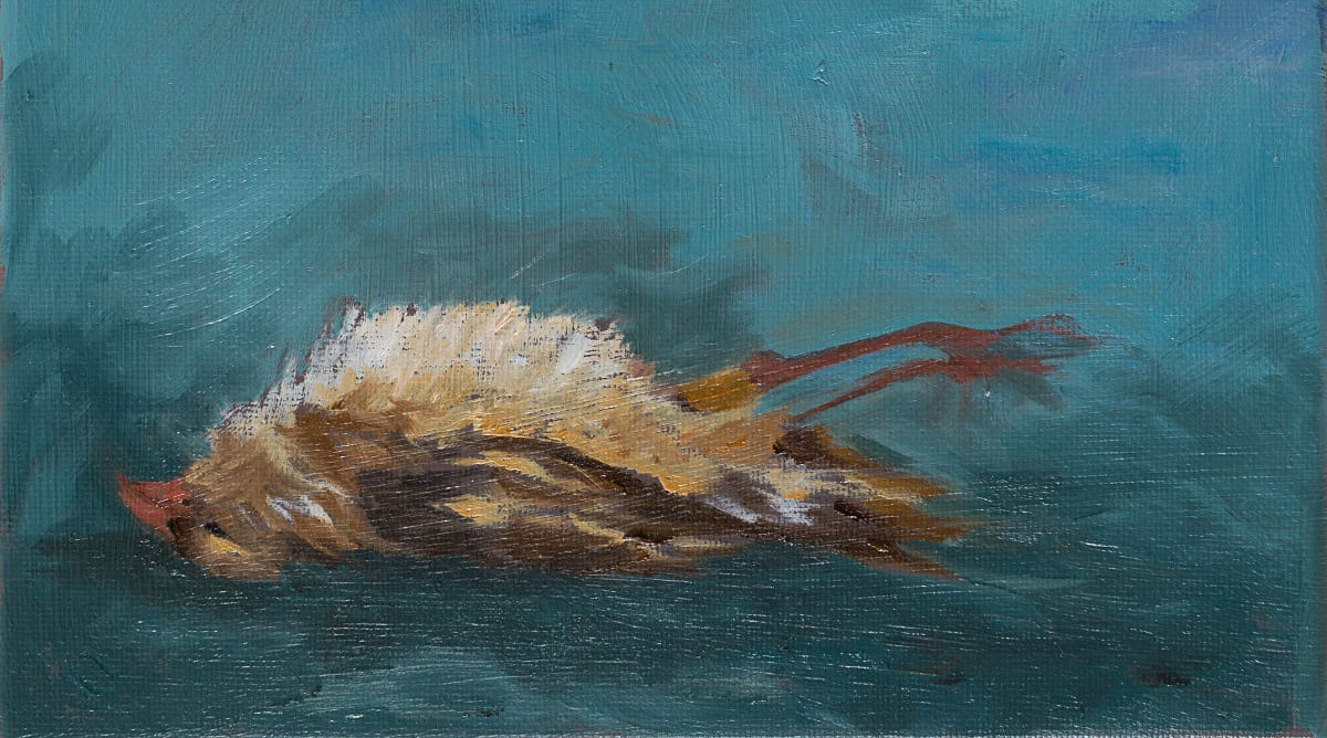A small square oil painting of a small belly-up wheat-golden bird. The painting is gestural in style. The bird is viewed from the side and lying on its back, in the horizontal center of the painting. It has a small orange beak, a tiny round black eye, and a soft, mounded lighter color belly or breast area, slightly darker wings near the ground, and two very thin orange bird legs that jut into the air. The bird is found in the bottom third of the small painting in a field of cool colors. The bottom of the background is a darker teal color, surrounding the bird and lightens in value in the upper two-thirds of the painting. There are shades of purple and white and darker and lighter teal throughout. It’s very soft and wispy. Brush marks are highly visible throughout the painting and there is a glow or a sheen over the entire piece due to the use of oil paints.