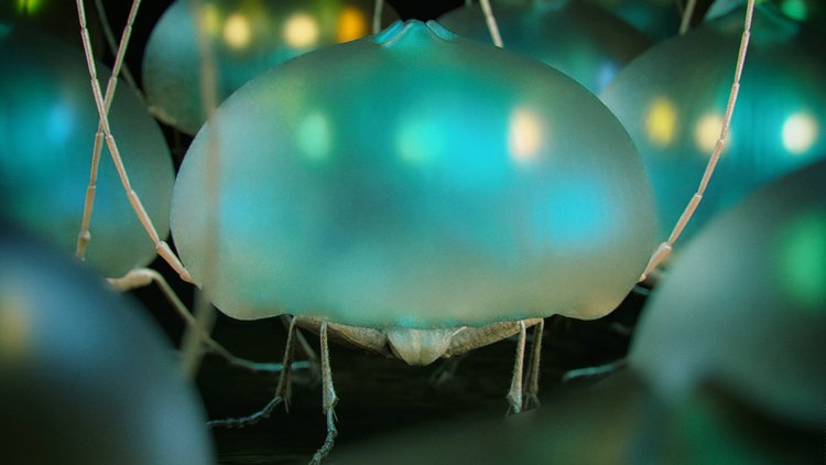 Imaginary jelllyfish-like creature from Symbiosis