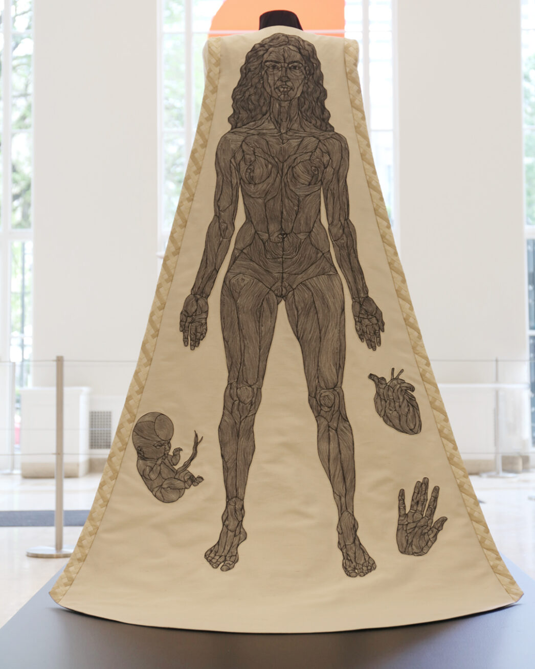 A white cape with the image of a standing naked woman on it. To the left of her ankle is a fetus; to the right is an anatomical heart and a hand.