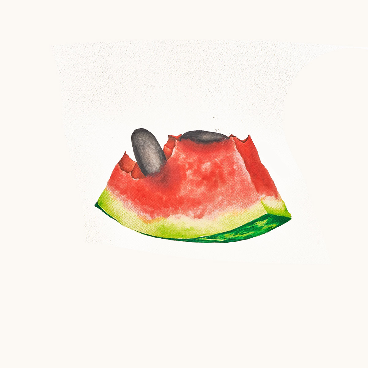 A drawing of a piece of watermelon, half eaten with black seeds at the top