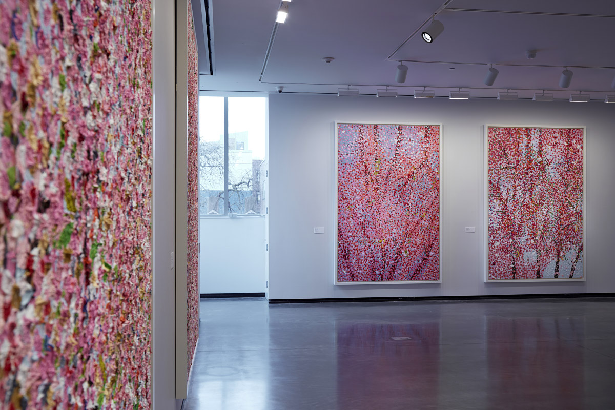 Photo of a gallery with paintings of pink cherry blossoms