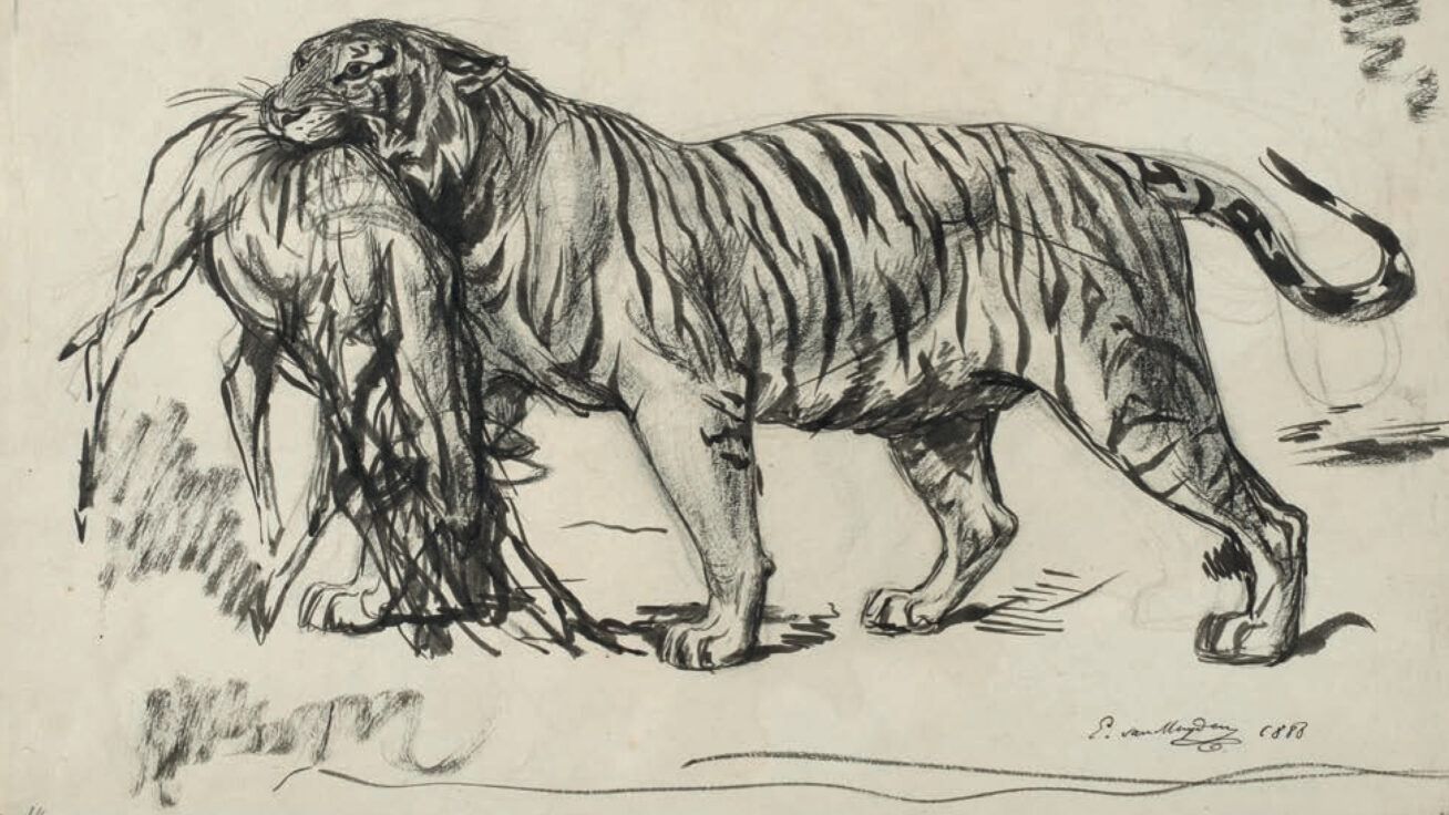 Etching of a tiger holding an animal in its jaws