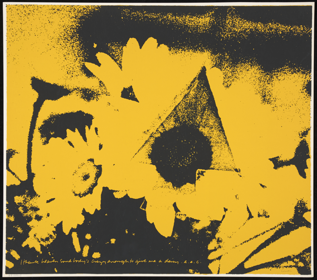 Photographic screenprint of daisies with an orange wash of color