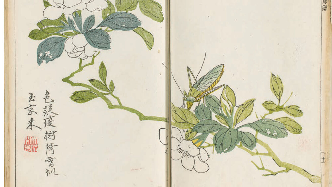 Print of a branch with flowers and Japanese writing