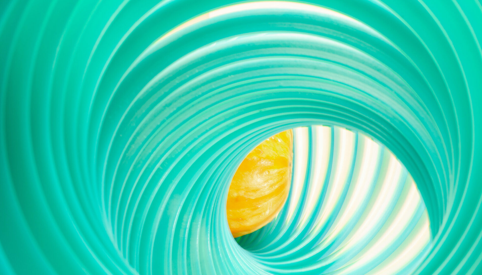 Abstract image of a green slinky-like object with a yellow-orange squash inside of it