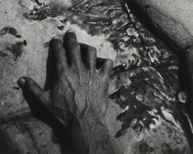 Black and white photo of a hand on a rock surrounded by seaweed