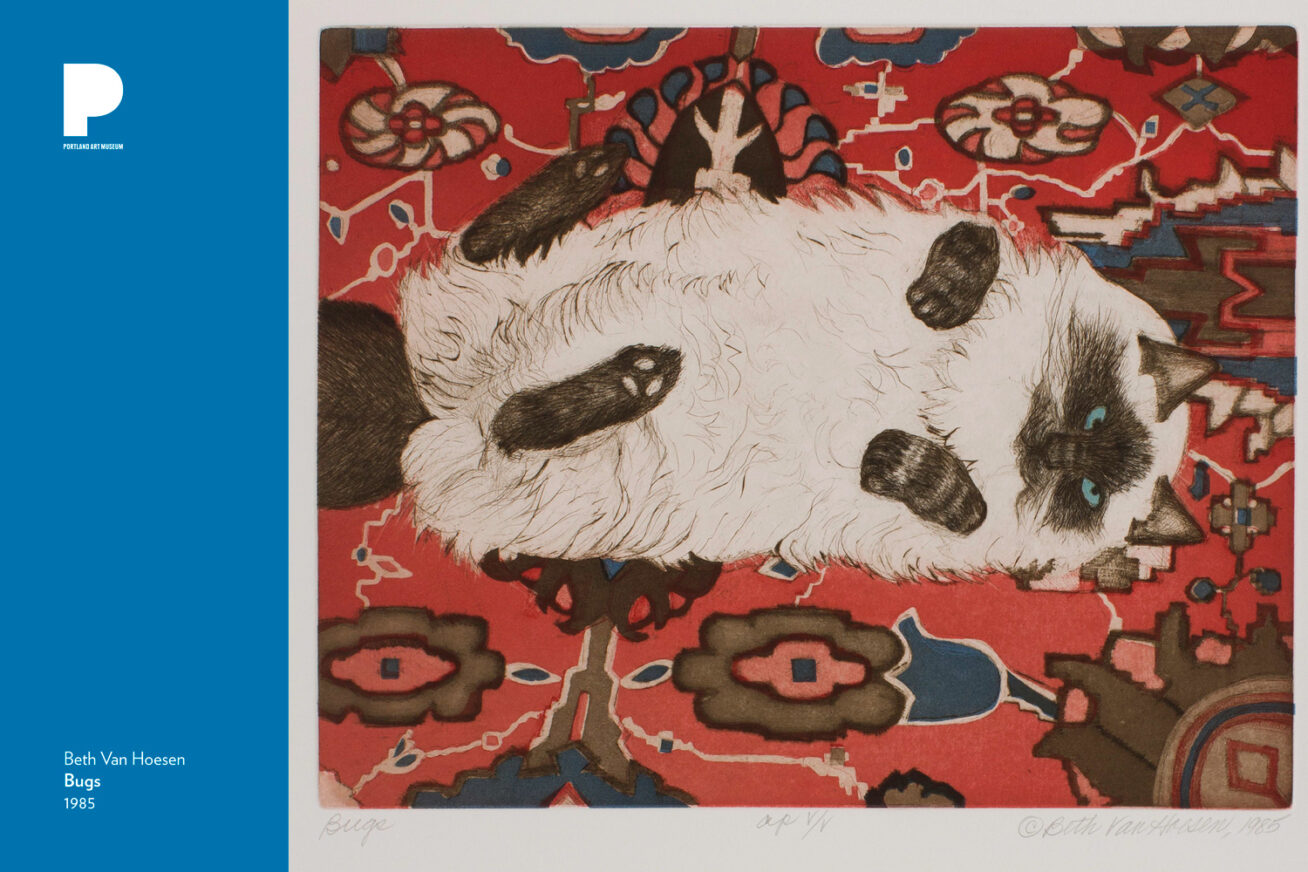 Print of a fluffy cat laying on its back on a patterned red rug