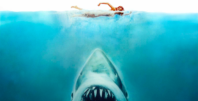 Image of a great white shark heading towards a person swimming in the water