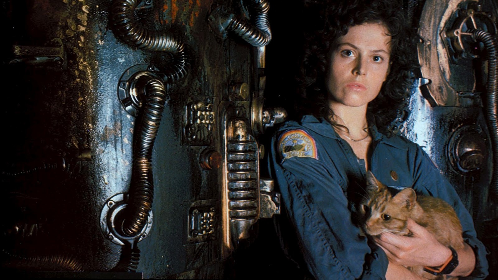 A woman with long, curly brown hair holding a cat in front of dark wall full of mechanical gears