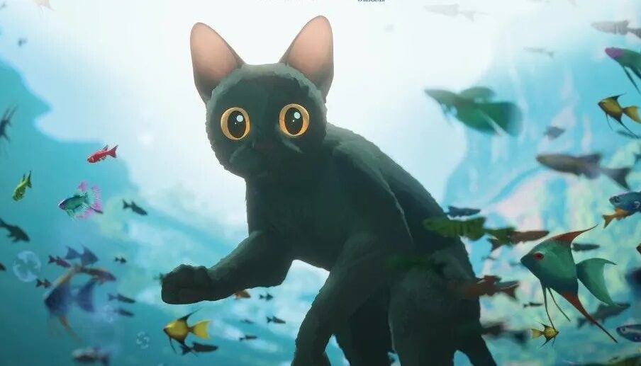 Animated film still of a black cat floating underwater, surrounded by fish