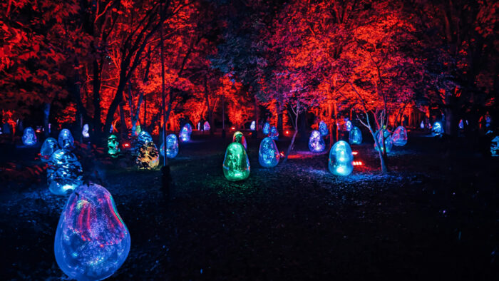 A dark forest with red lights in the tree tops and amorphous, multicolored blobs on the ground