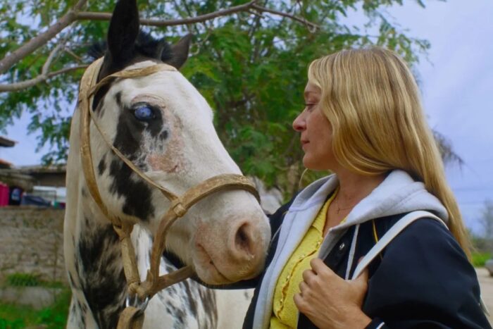 Photo of a woman with long blond hair and a white and black horse looking at each other