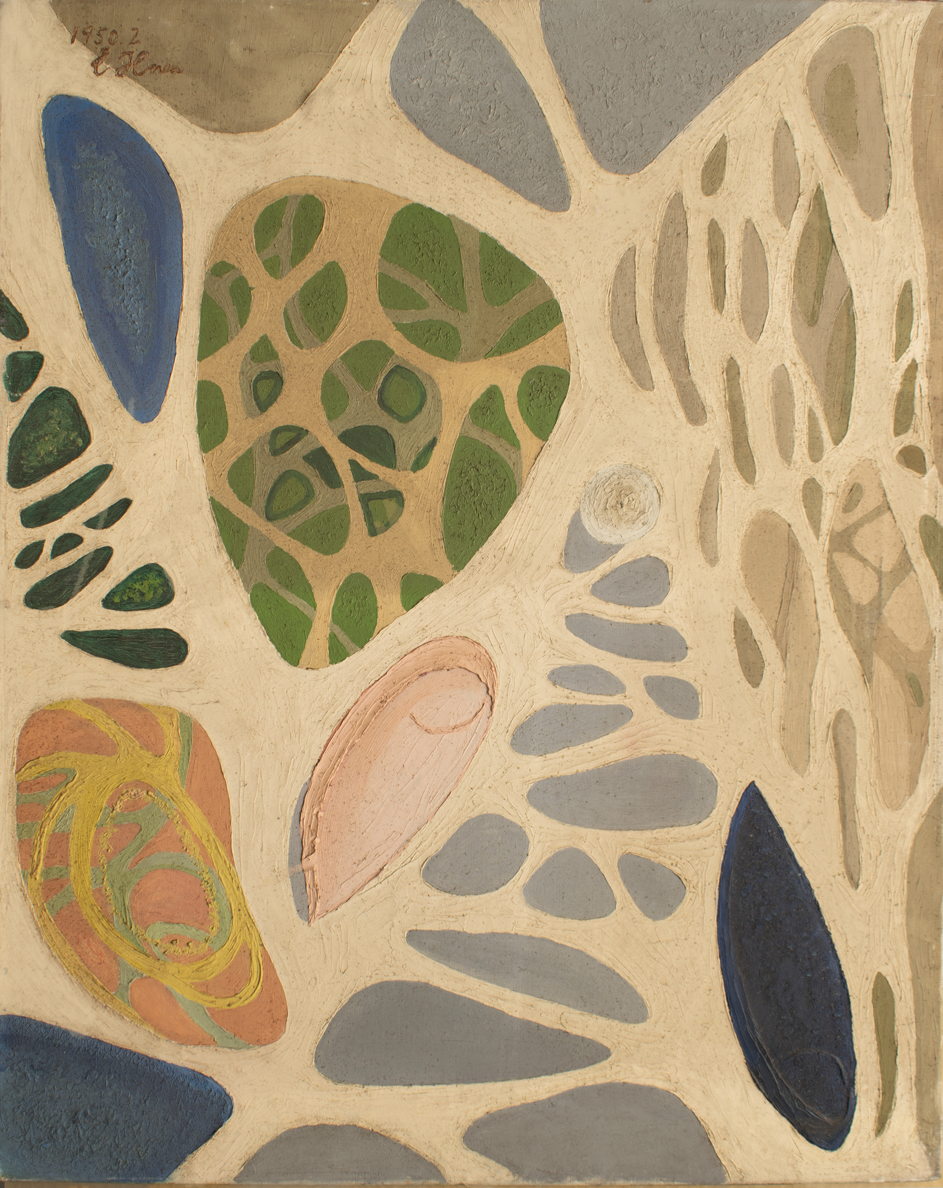 スキー Yoshi_cho スキー Yoshi_cho スキー│Z-CRAFT（ゼットクラフト） WEB本店