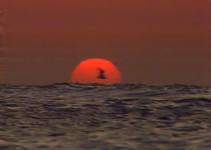 A film still of an ocean with an orange sun setting behind and a bird flying in front of it.