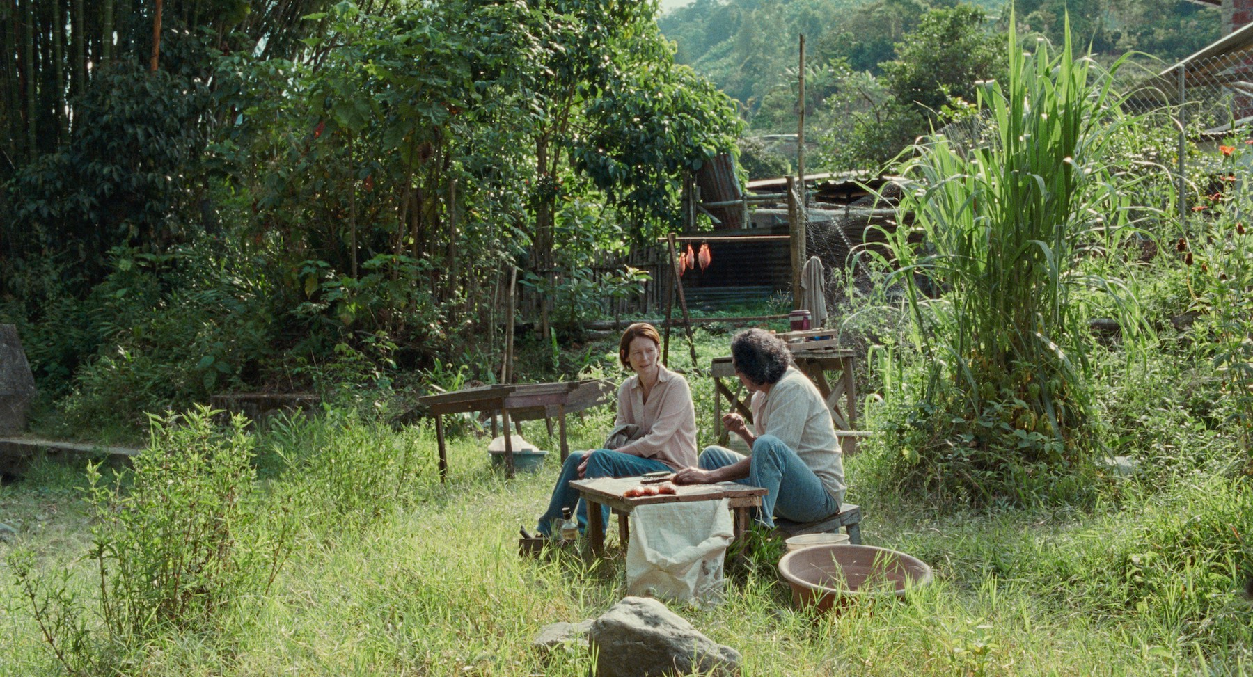 Two people talking at a small table outdoors surrounded by bright green grass and trees.