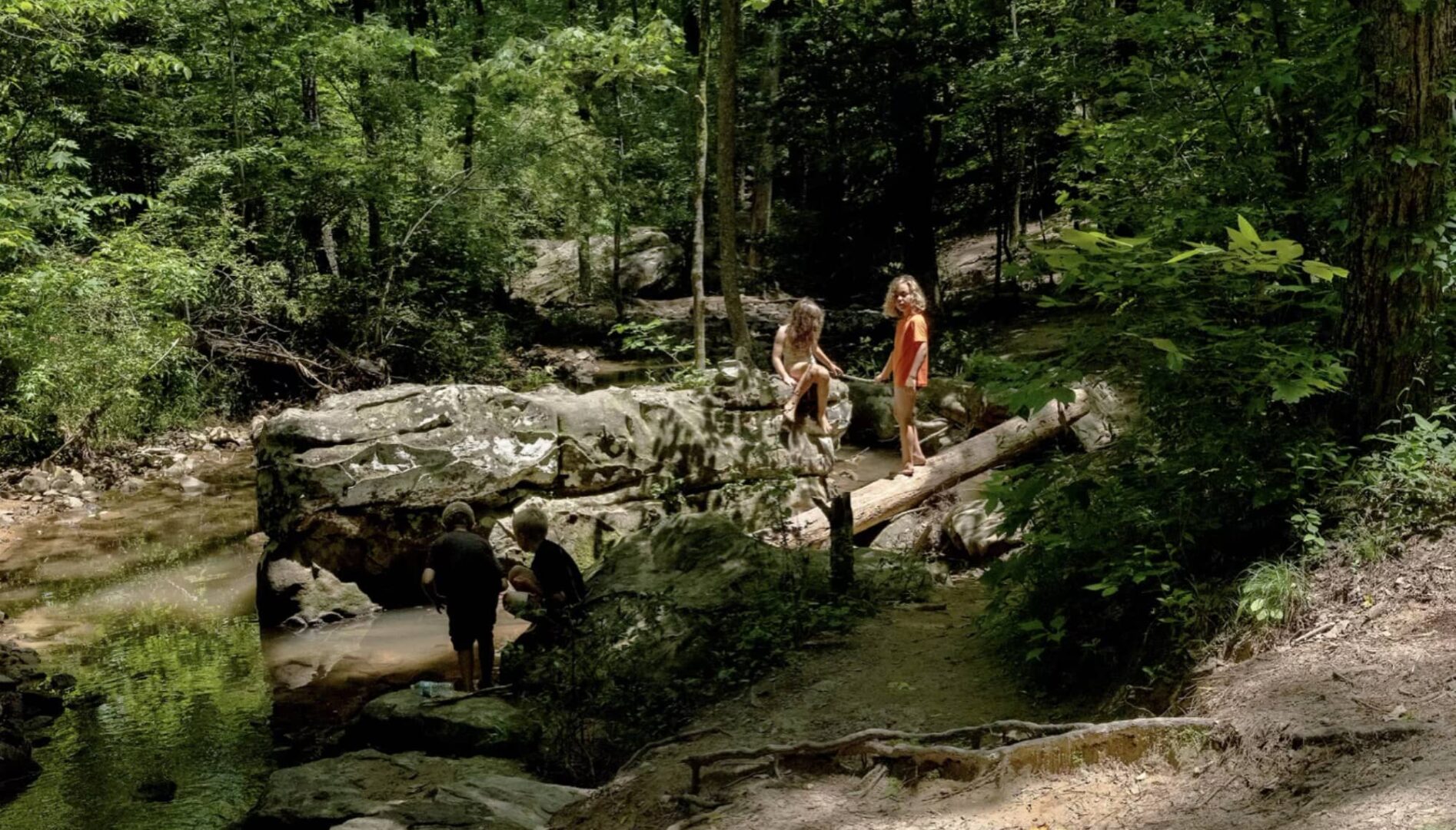 A small group of children in the woods next to a creek.