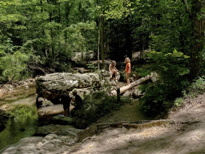 A small group of children in the woods next to a creek.