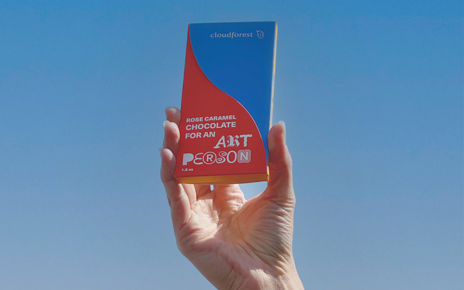 A hand holding up a chocolate bar.