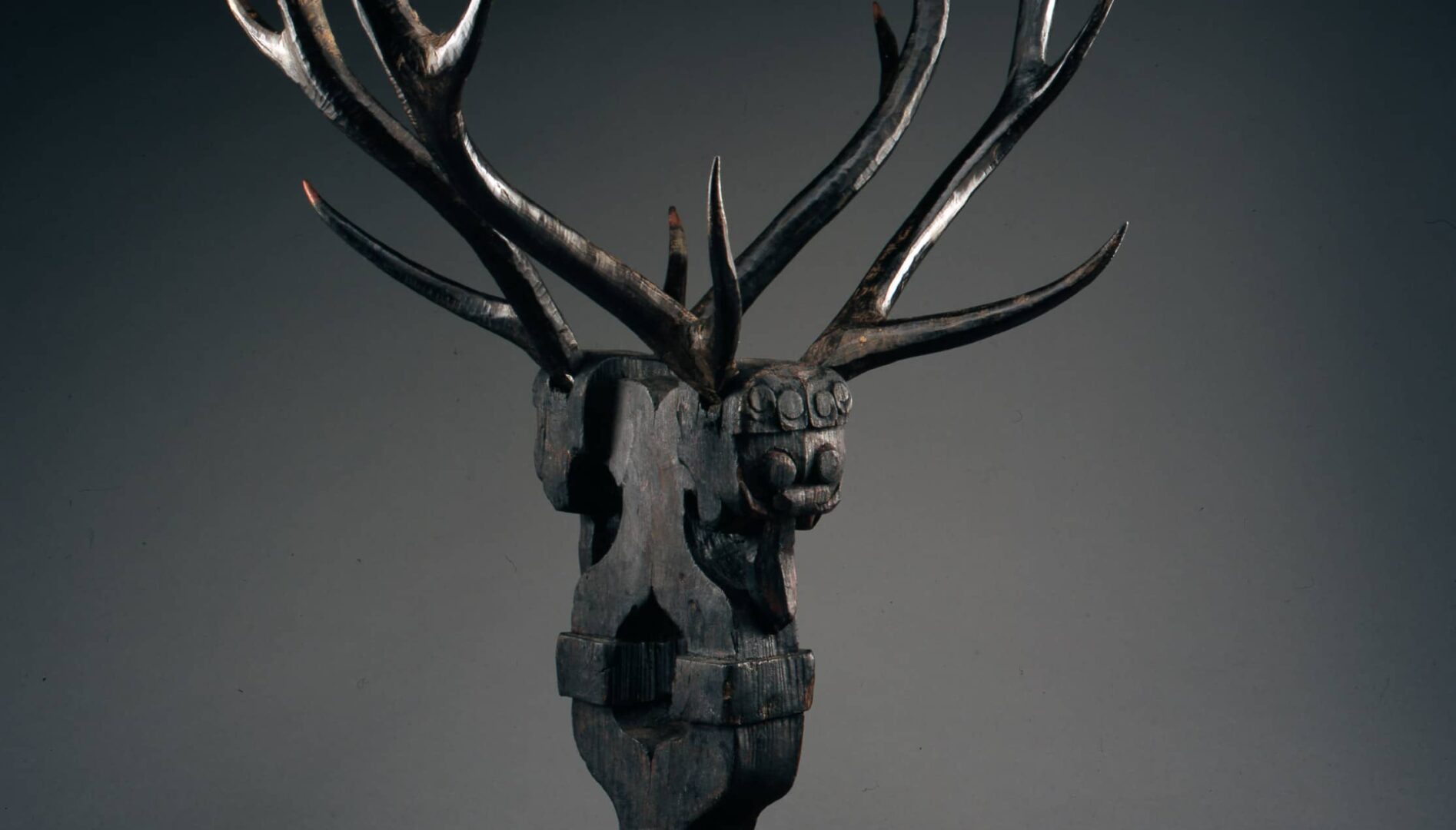 Wood sculpture depicting antlers.