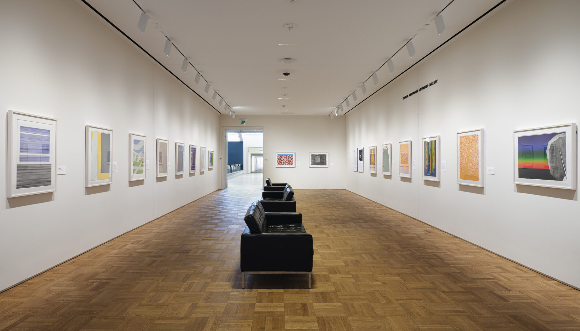 Photo of the Paul Harris: Shut-In Suite exhibition.