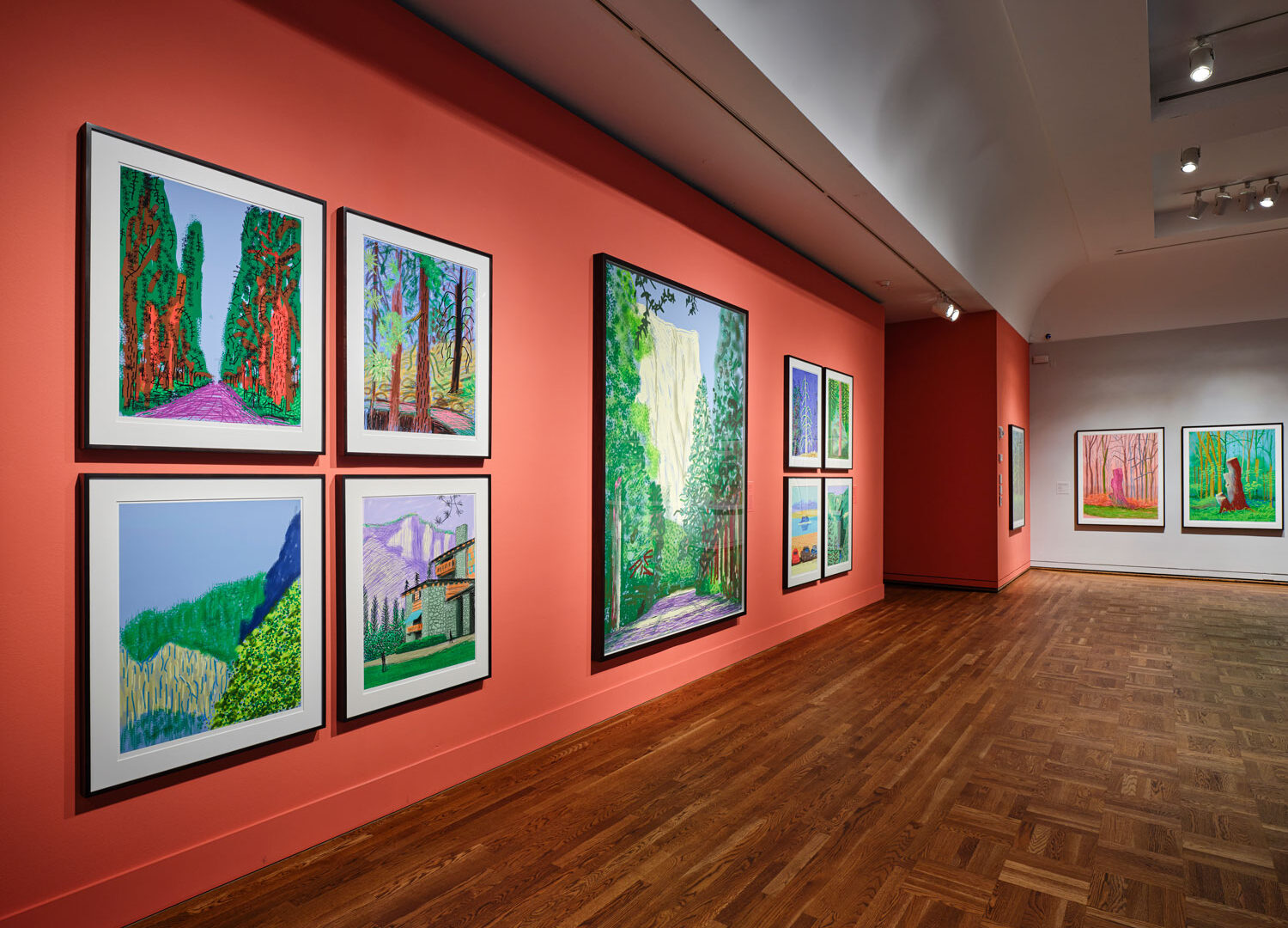 Installation photo of David Hockney exhibition.