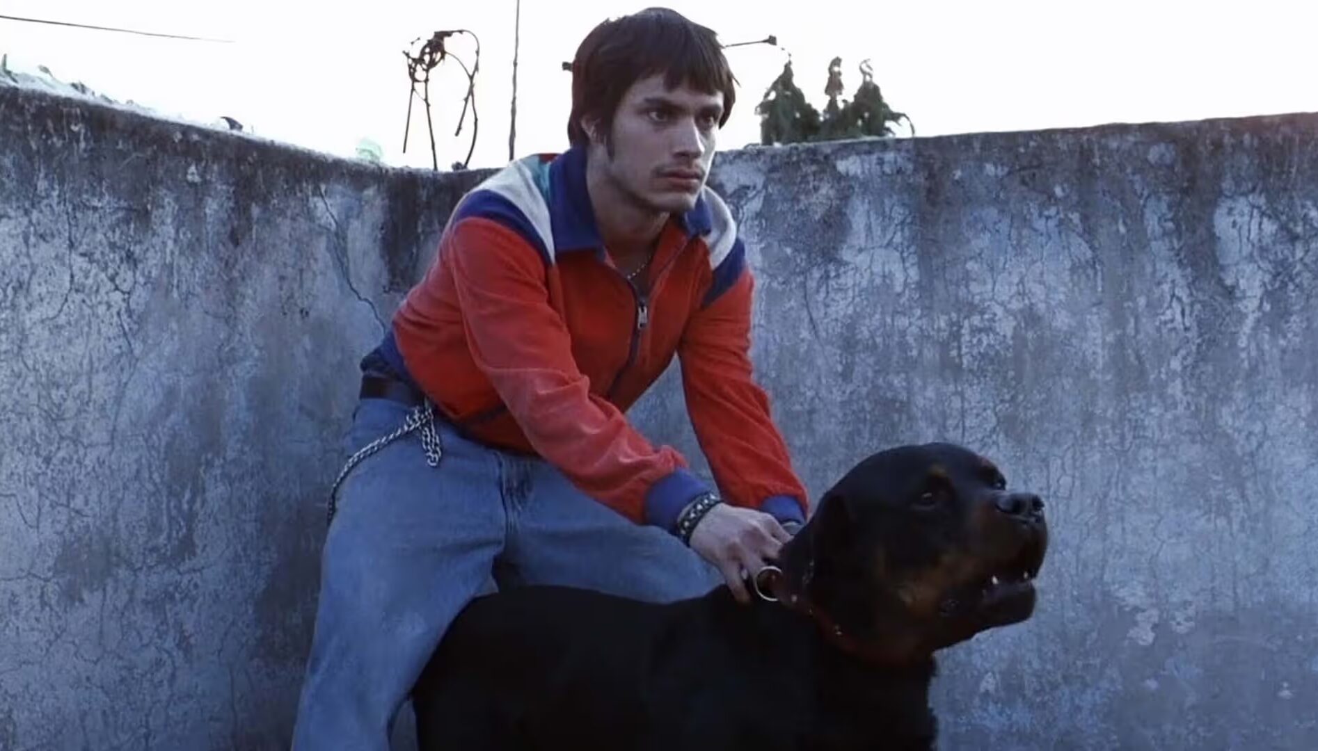 A young man in a red jacket holding onto the collar of a big dog.
