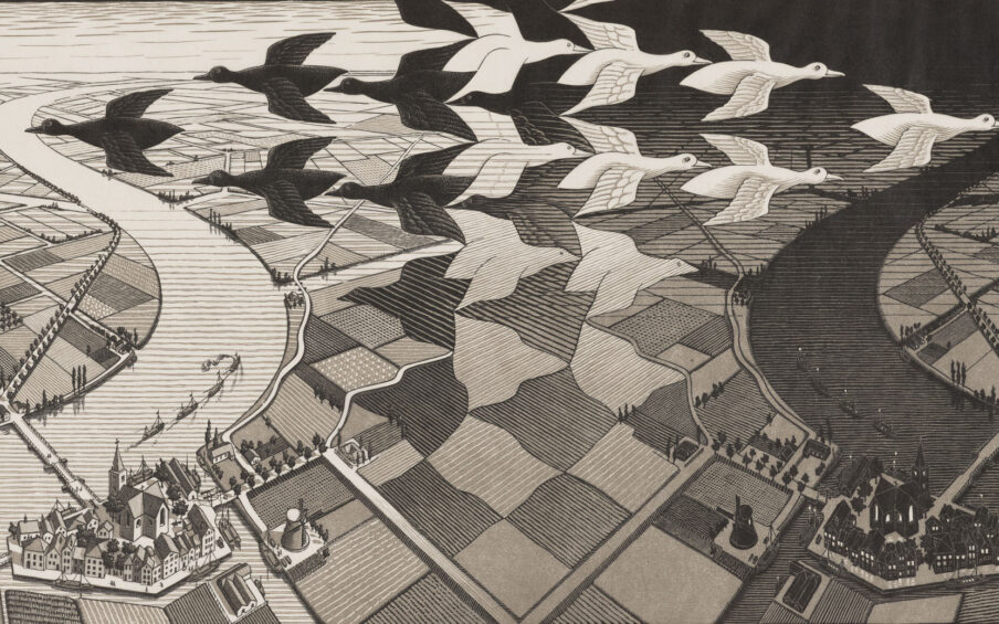 Black and white print with grid patterns and ducks flying.