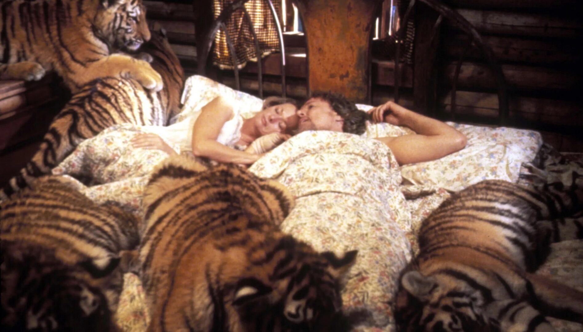 A couple in bed surrounded by a group of tigers.