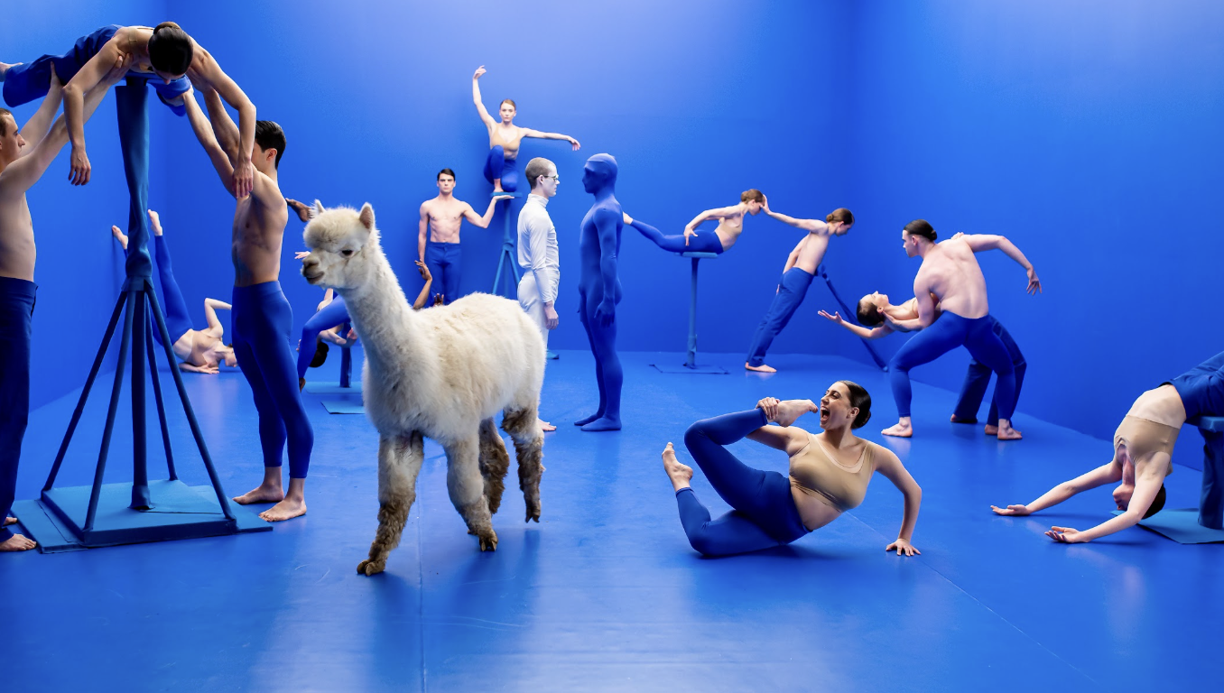 10 Years of Portland Dance Film Festival – Directors’ Picks at PAM CUT's Tomorrow Theater in Portland