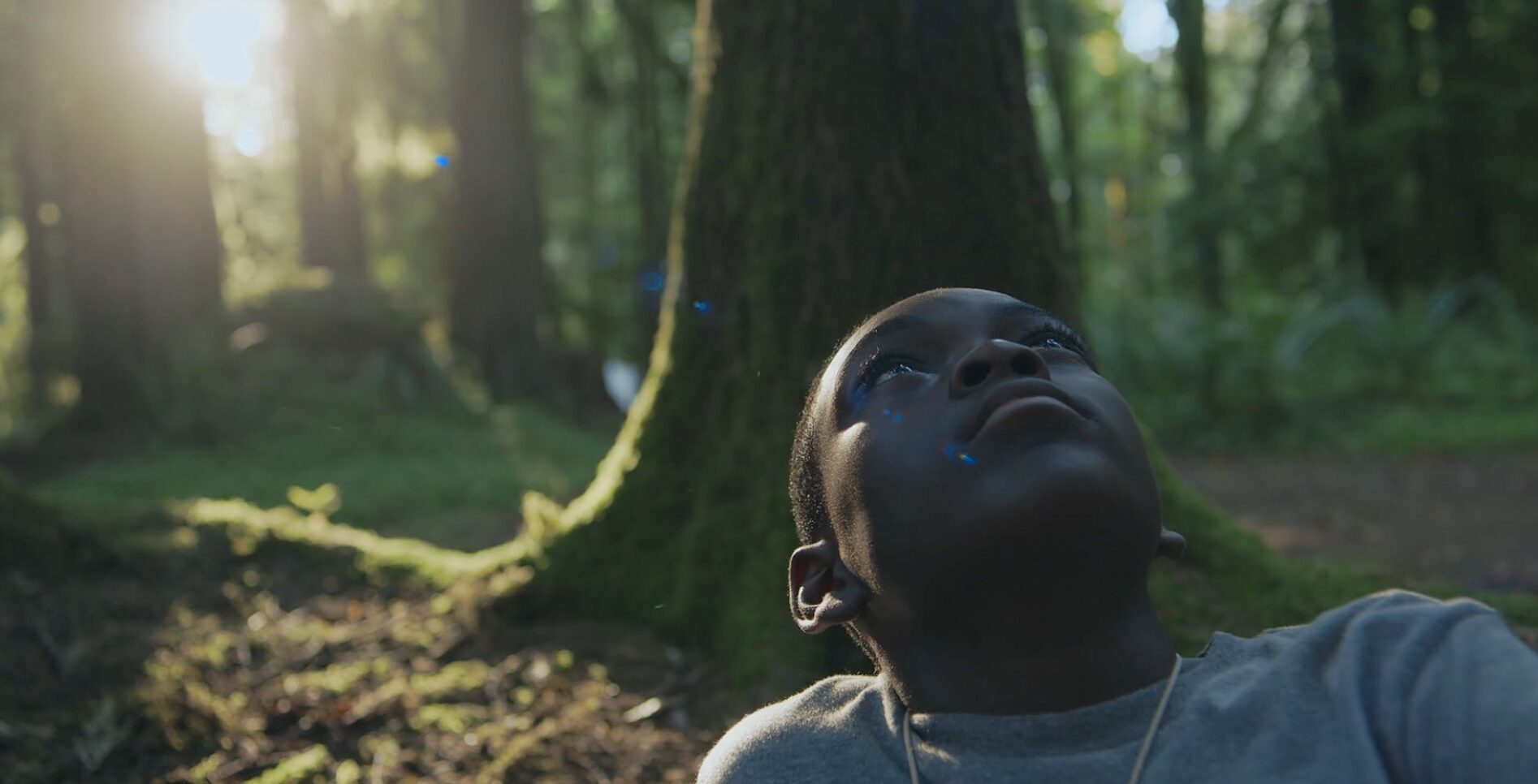 A Black boy sitting in the forest, backlit by the sun, looking upwards.