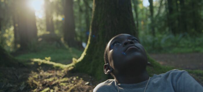 A Black boy sitting in the forest, backlit by the sun, looking upwards.