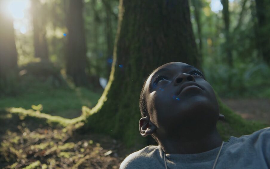 A Black boy sitting in the forest, backlit by the sun, looking upwards.